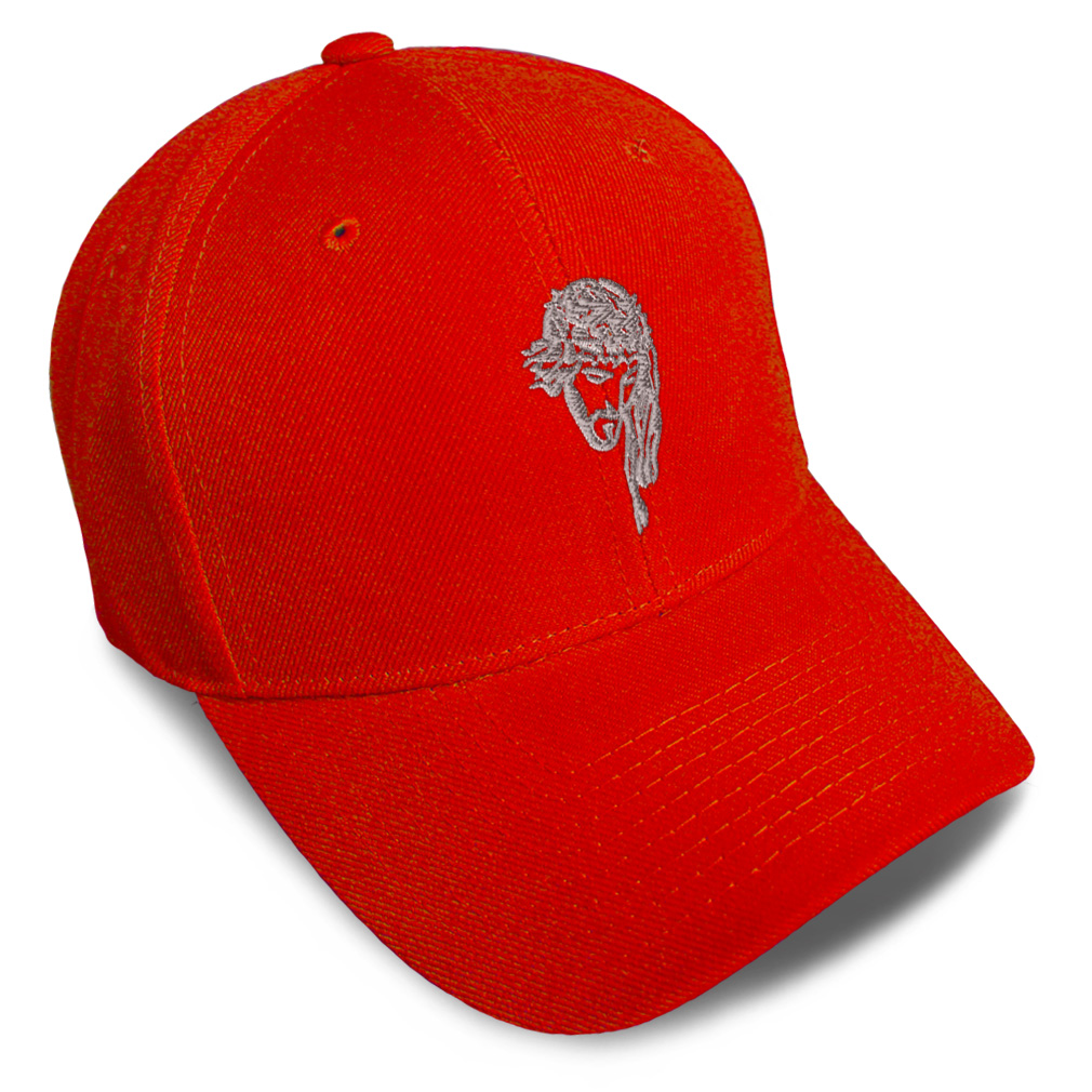 Baseball Cap Silver Jesus Christ Face Embroidery Dad Hats for Men & Women 1 Size - Picture 28 of 41